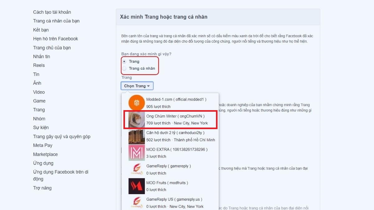 5 bước để Xác Minh Tick Xanh Fanpage Facebook